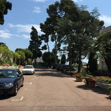 La Reale *